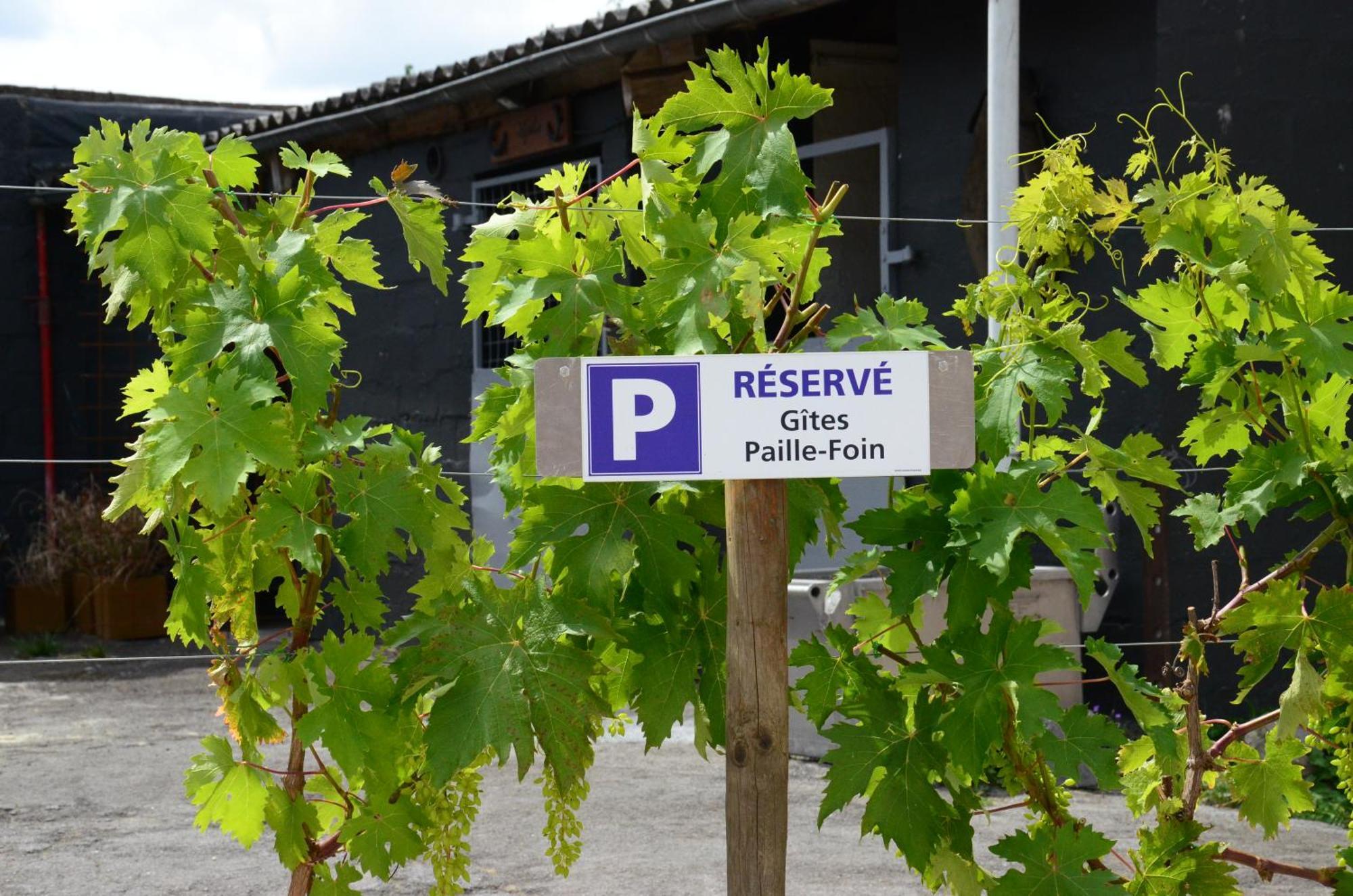Gites Paille-Foin Cerfontaine Ngoại thất bức ảnh